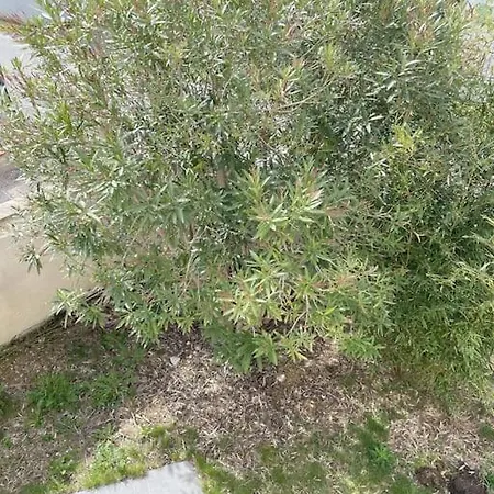 Les De Castel - Les Lauriers Casa vacanze